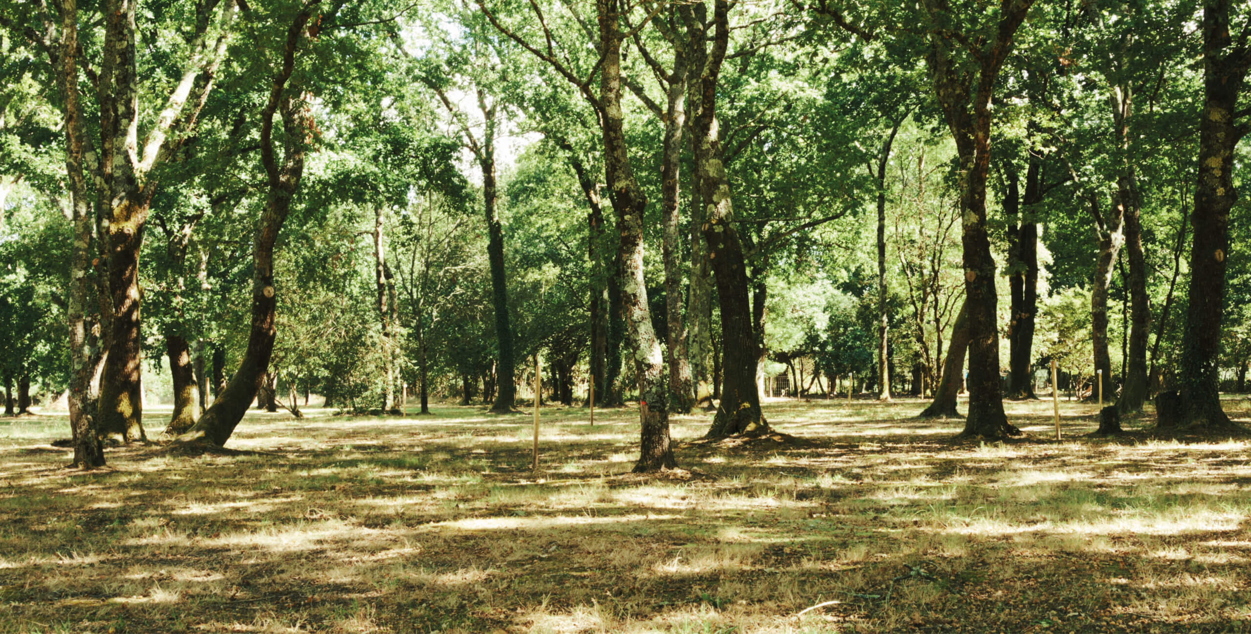 emplacement gironde